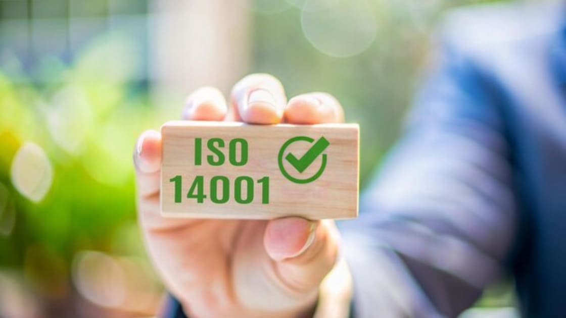 copertina dell'articolo sui sistemi di gestione ambientale e sulla certificazione iso 14001 per imprese